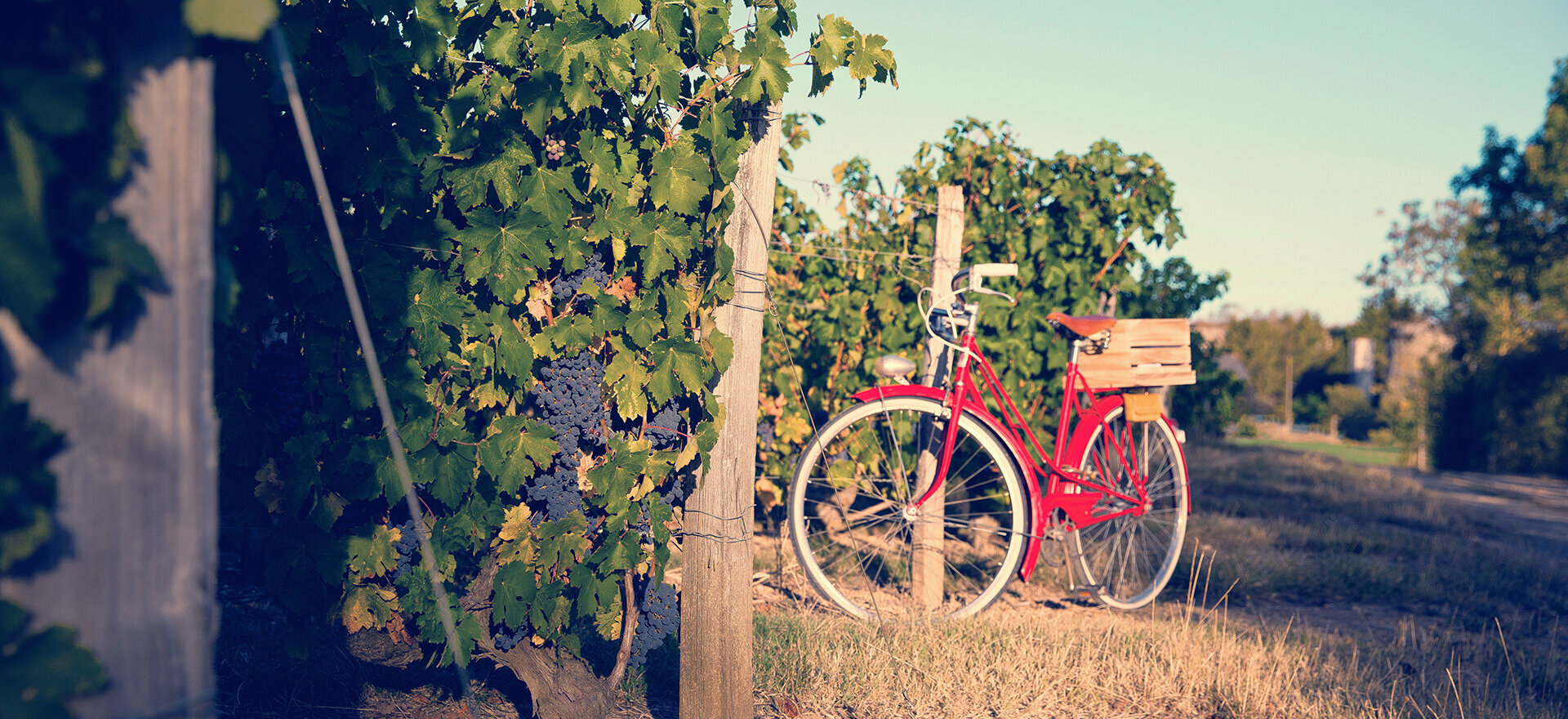 La cave à vins à Aurillac dans le Cantal